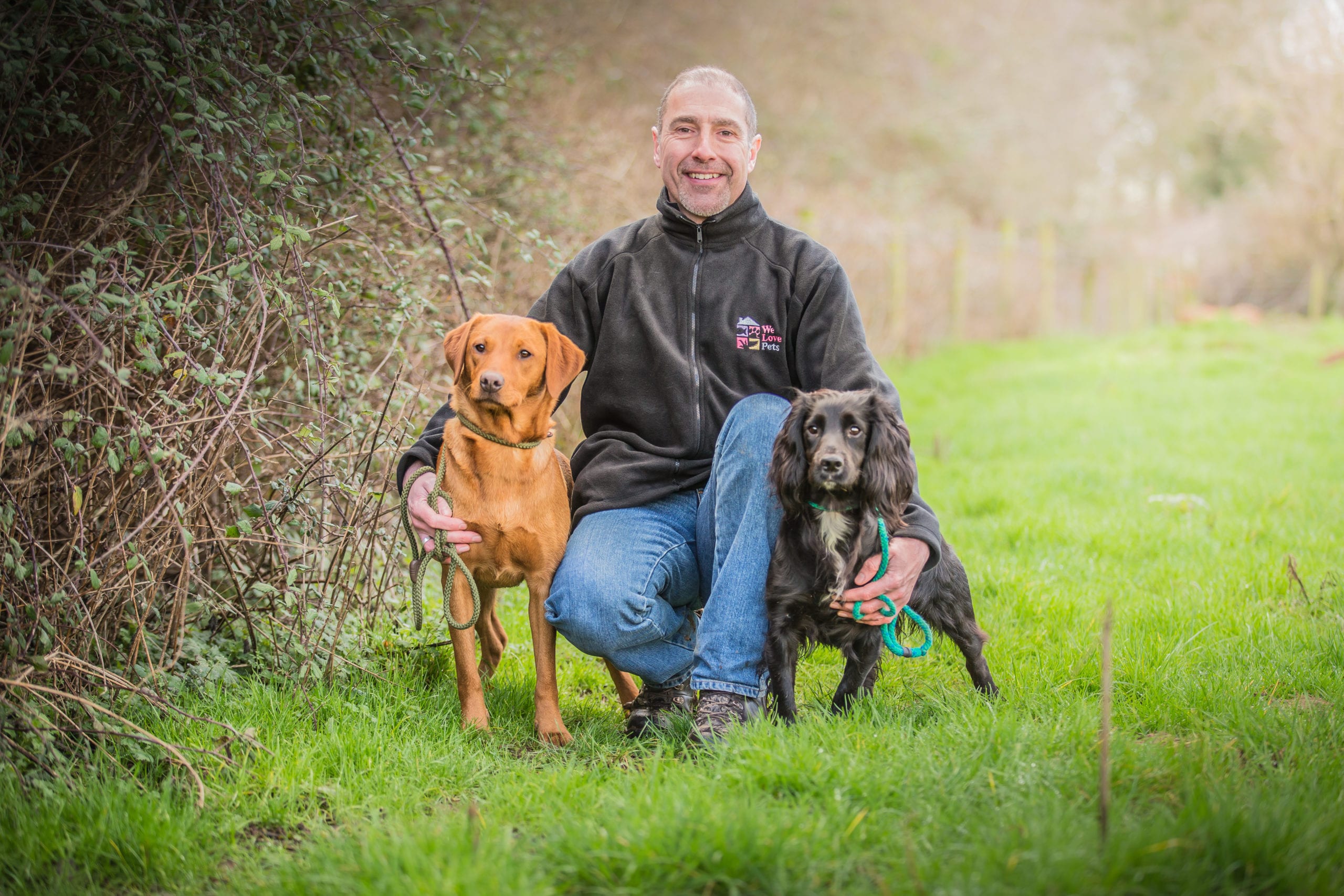 Dog Walker Swindon, Pet Sitter, Dog Boarding | We Love Pets