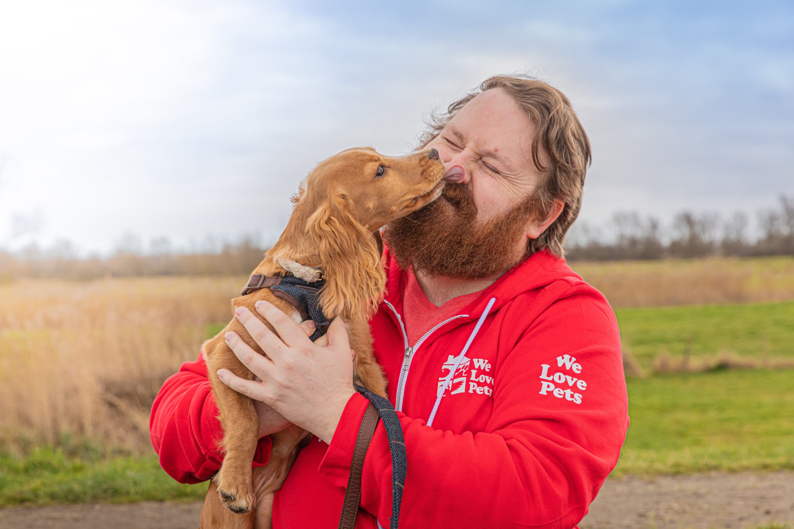 Dog Walker Mansfield, Pet Sitter, Dog Boarding We Love Pets