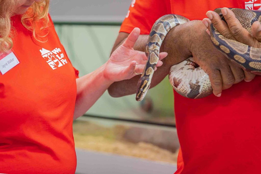 Man holding a snake