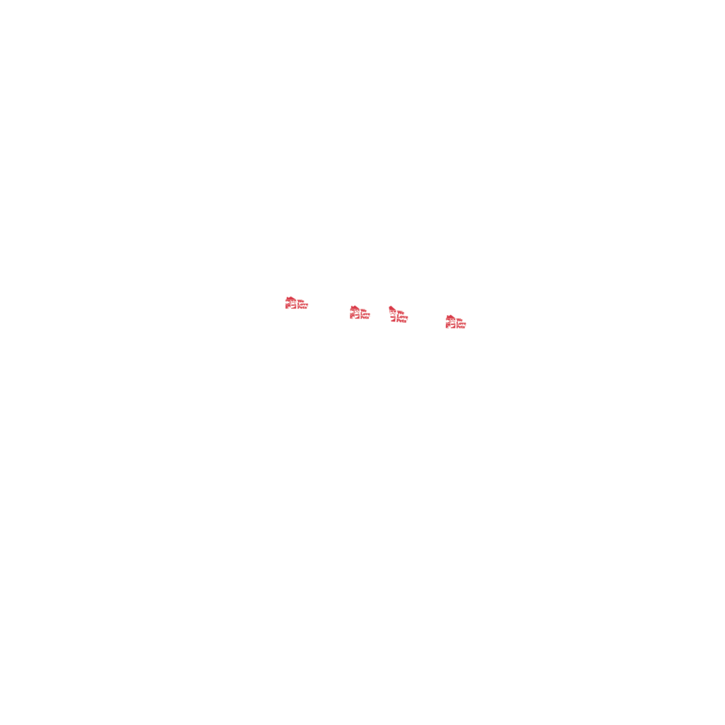 White WLP team circle icon