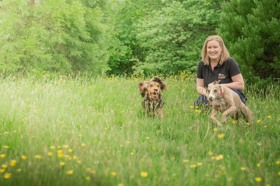 Woman crouched next to dogs running