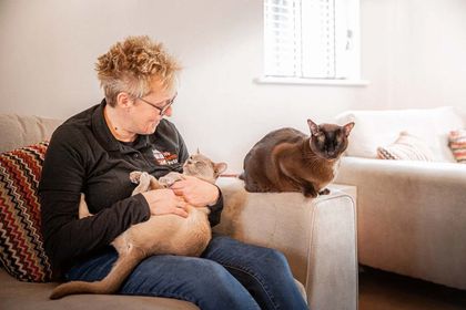 Woman holding a cat on it's back and cat sat on the arm of the couch