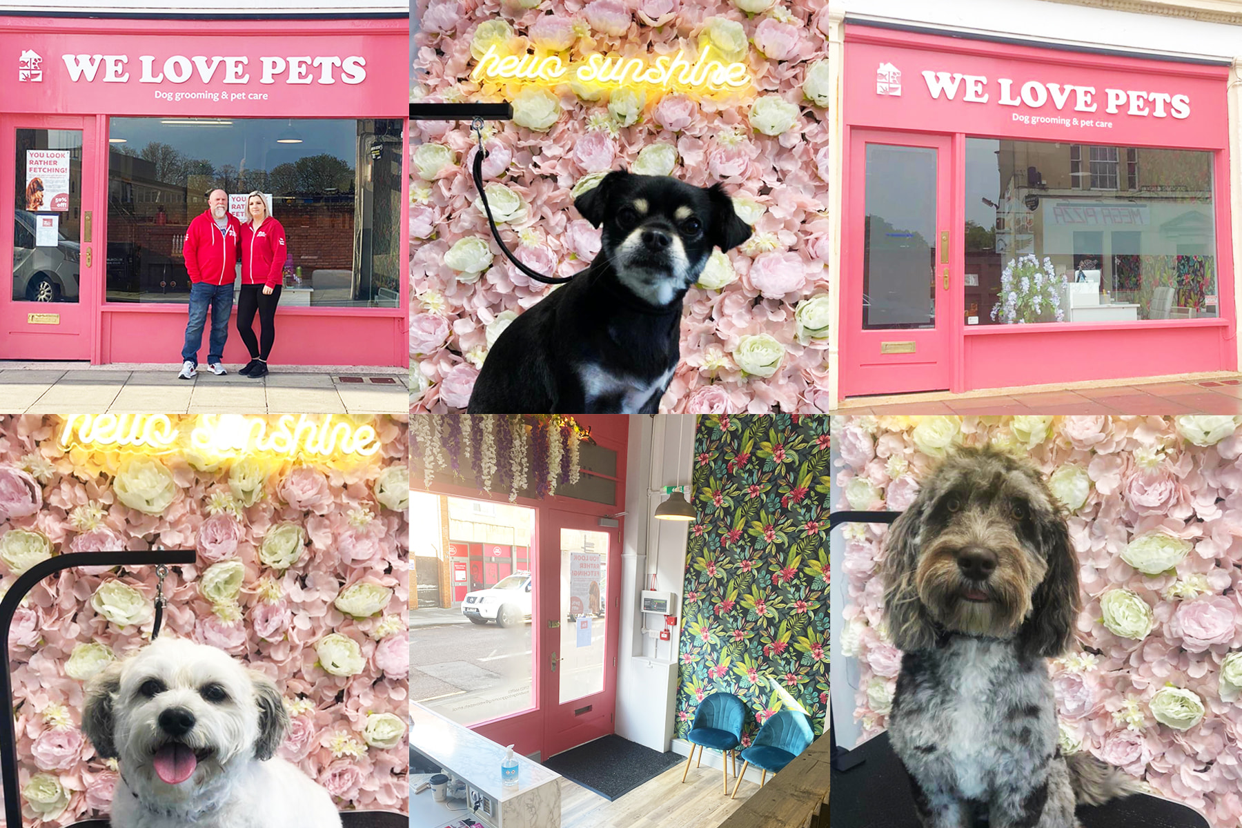 We Love Pets luxury grooming salon celebrating 2 months in