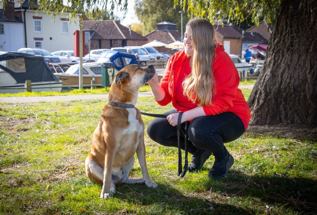 We Love Pets Battle places to take dogs for a walk