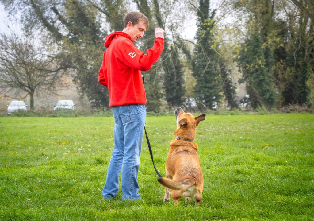 Dog Walker in Livingston and East Kilbride - Bryan Sharp of We Love Pets