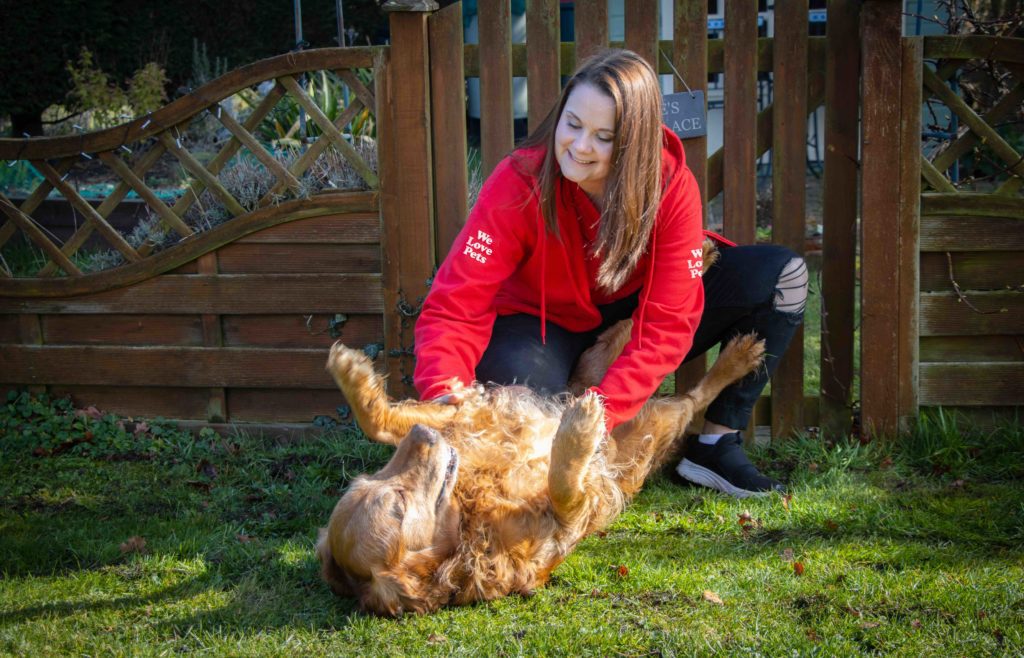 We Love Pets Chessington dog walker