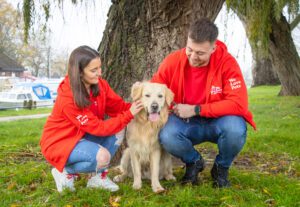 spring dog walking tips