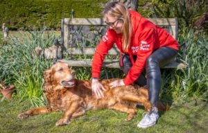 fleas and ticks in spring