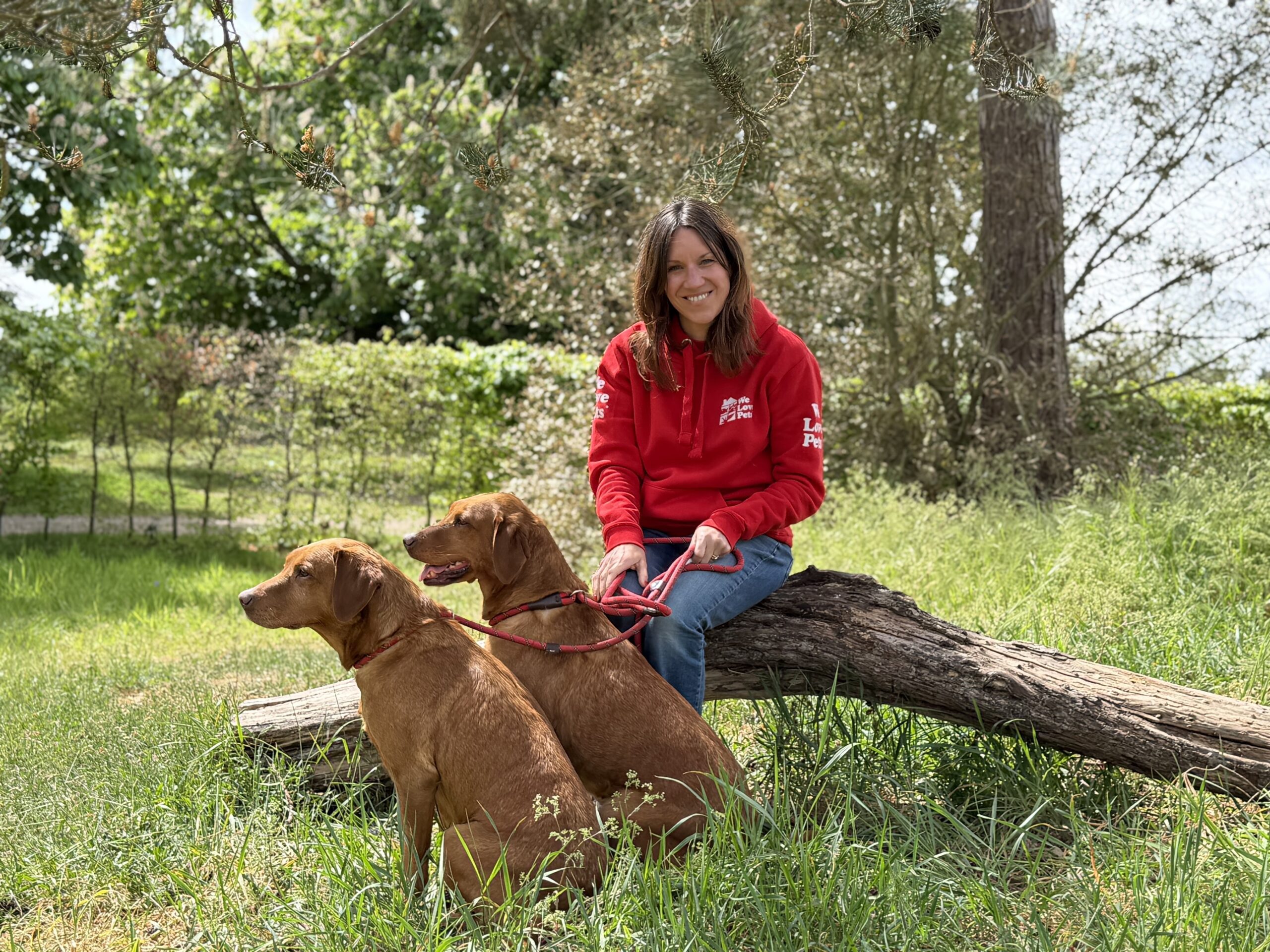 We Love Pets Hackney - dog walker, home boarding and pet sitting