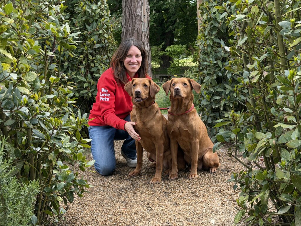 We Love Pets Hackney, Homerton and Bow - dog walker