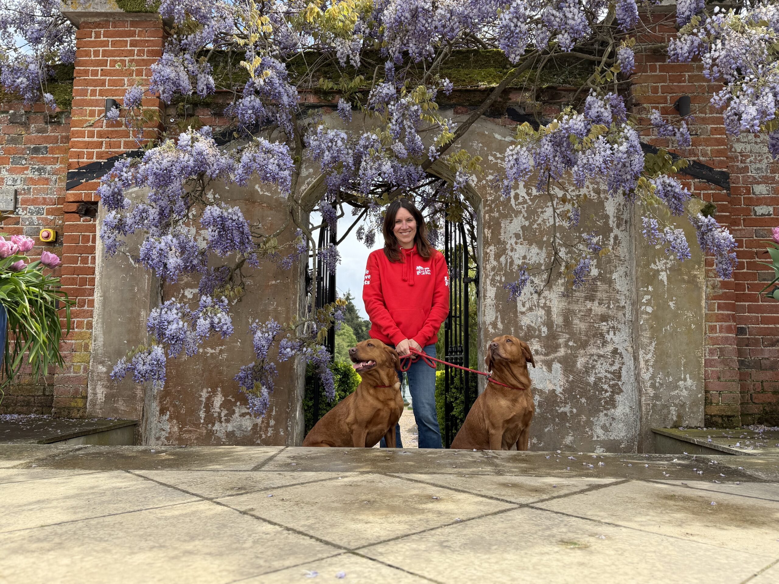 Dog walker, pet sitter and dog home boarding in Hackney