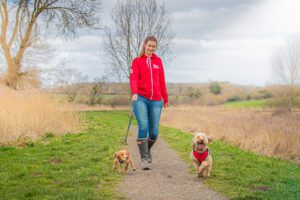 Professional dog walking services with a happy dog enjoying a walk in a peaceful woodland setting.