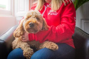 pets and mental health