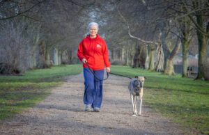 We Love Pets dog walker walking a dog on a countryside path
