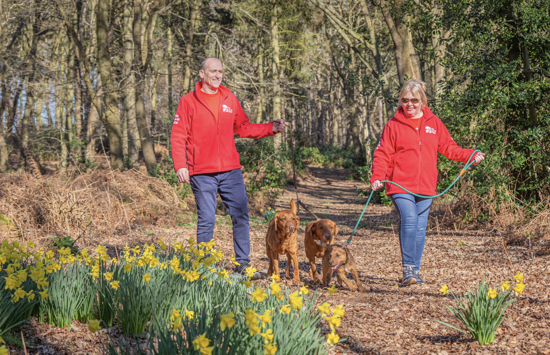 Dog walkers in Cambourne and St. Neots