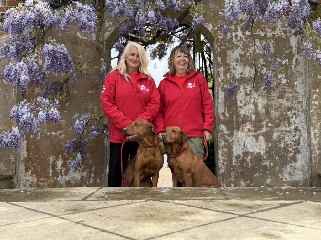 Dog walkers and pet sitters in Stowmarket