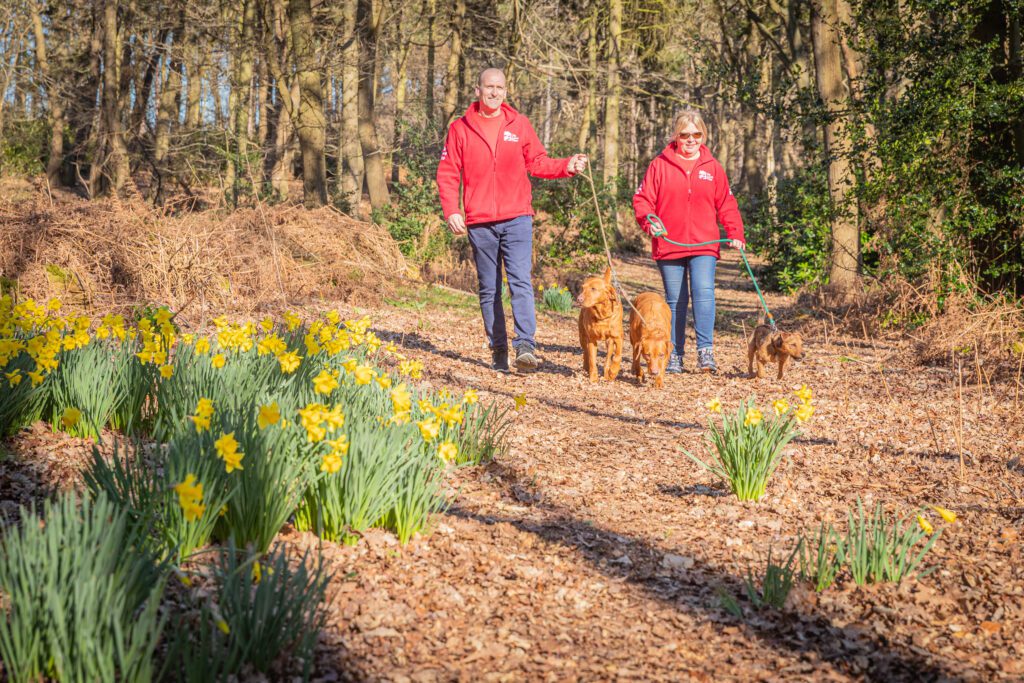 Harvey& Amanda walking three dogs
