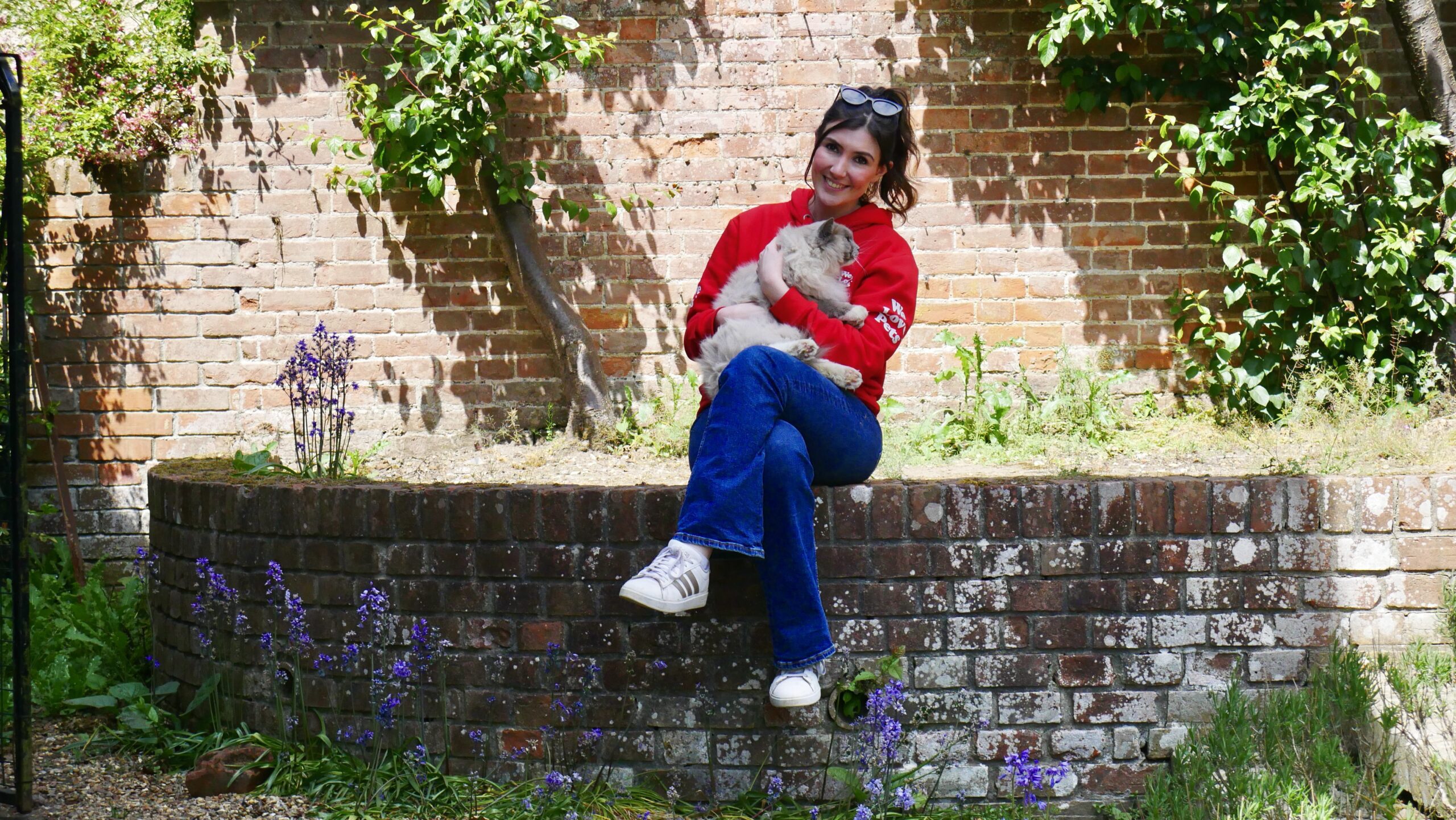 We Love Pets Wimbledon sitting with a cat on a brick wall