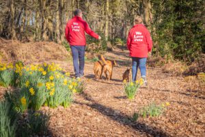 Two We Love Pets dog walkers in red branded fleeces walking three dogs along a leaf-covered woodland path