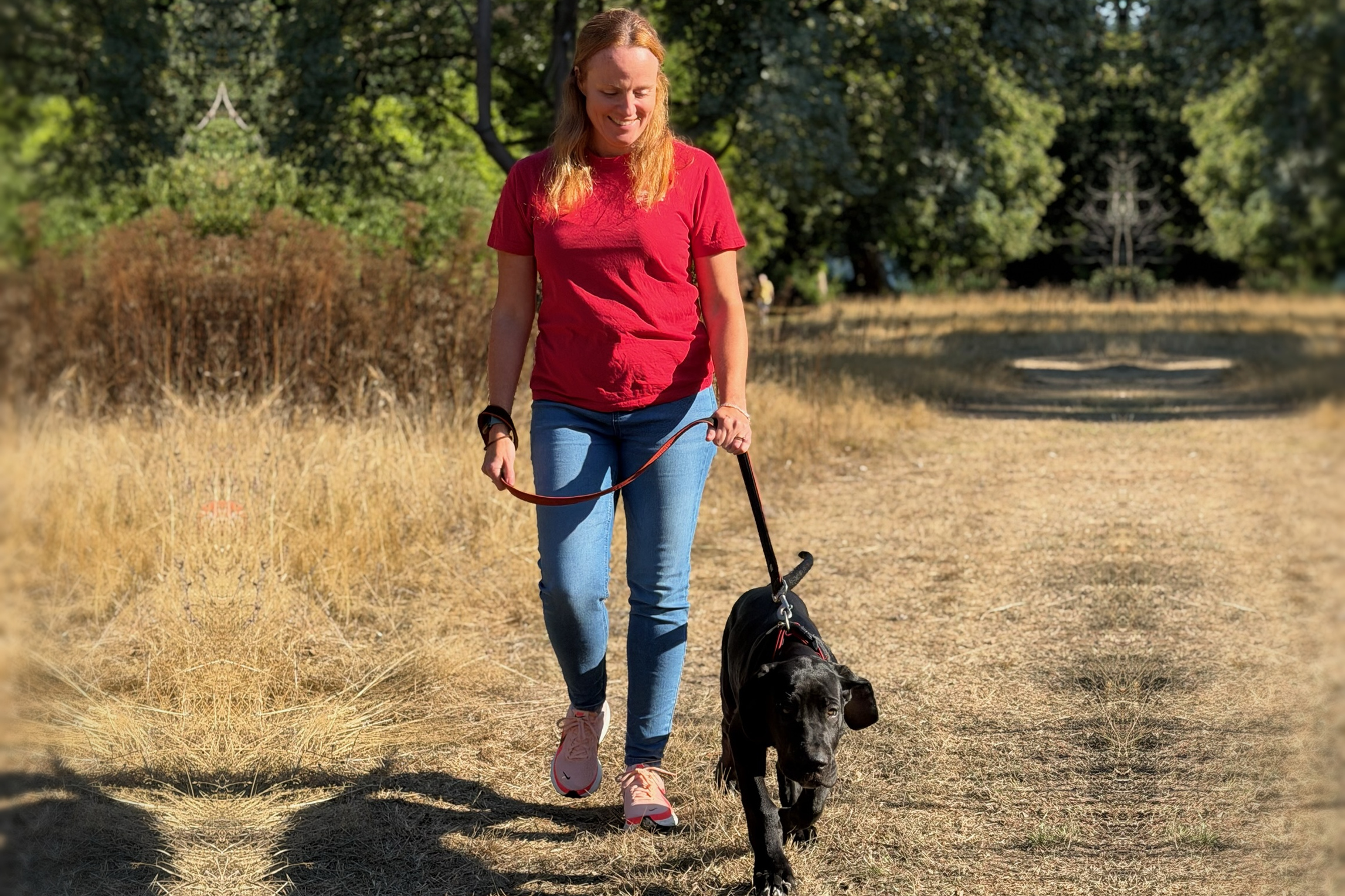 We Love Pets franchisee walking a dog