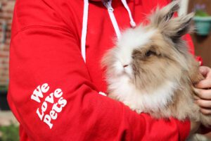 A We Love Pets sitter holding a long haired rabbit during a rabbit care visit