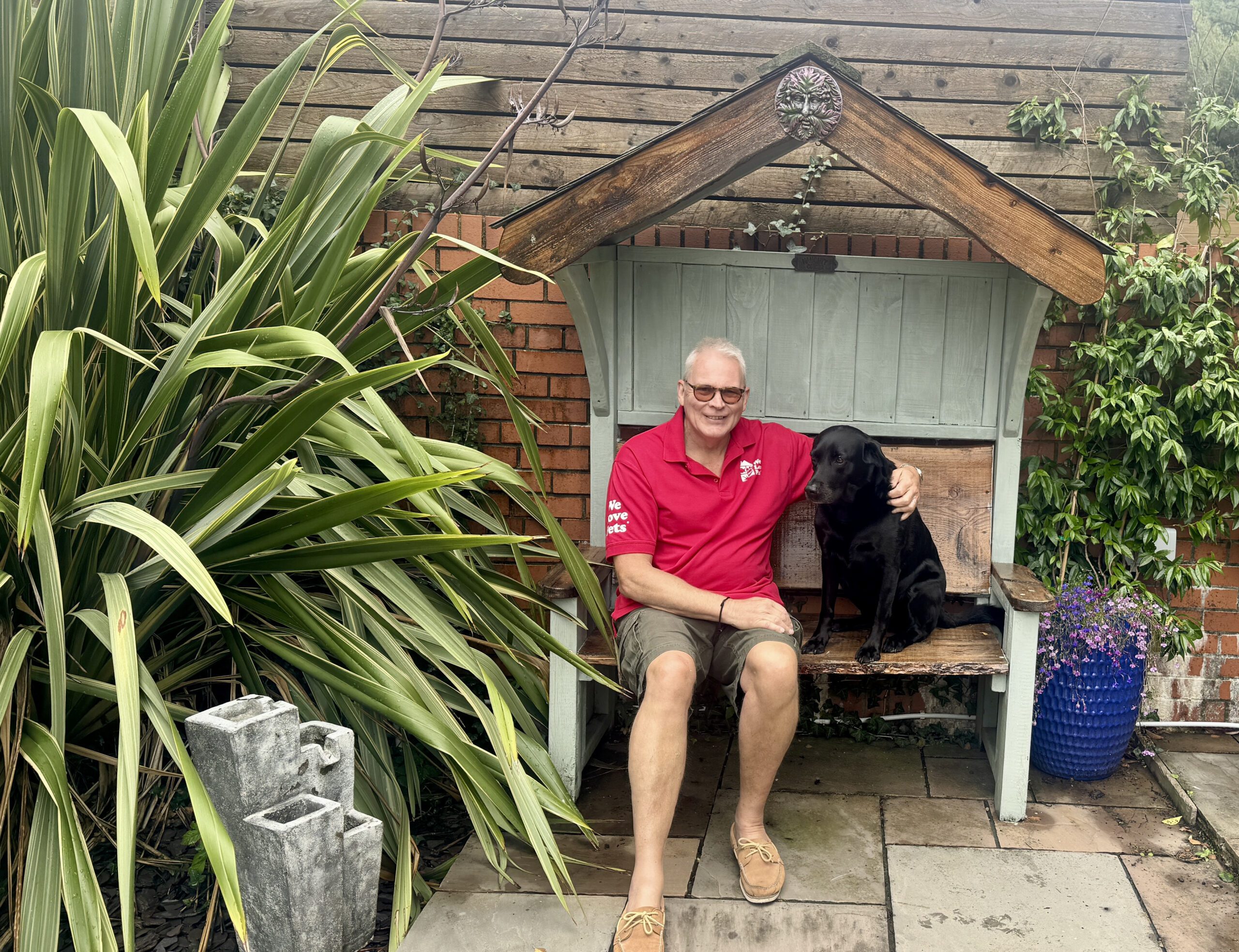 Dog walker Swansea